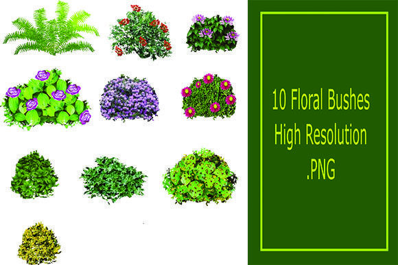 Integrating 10 Floral Bushes High Resolution PNGs into Your Creative Workflow