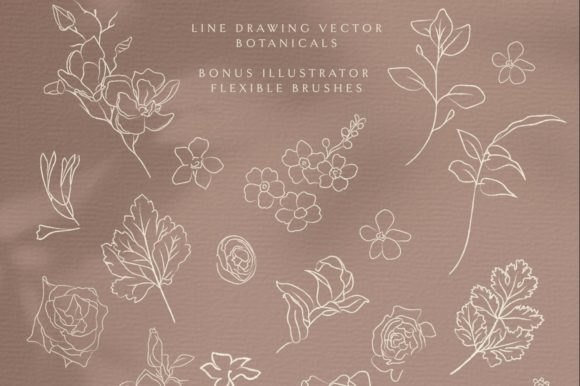 Line Drawing Botanicals, Plants, and Wreaths: A Practical Guide to Minimalist Design Resources