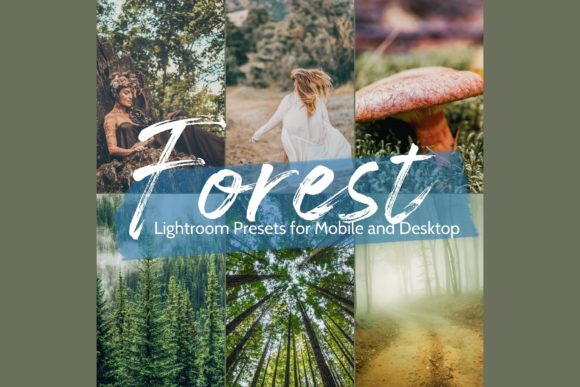 Top 10 Spring Forest Lightroom Presets
