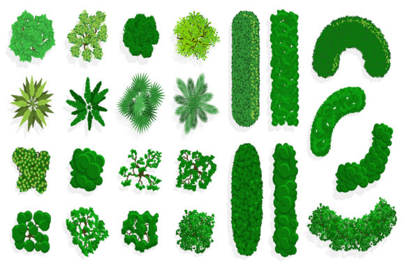 Top View Bushes and Trees: Elevating Design with Overhead Perspectives